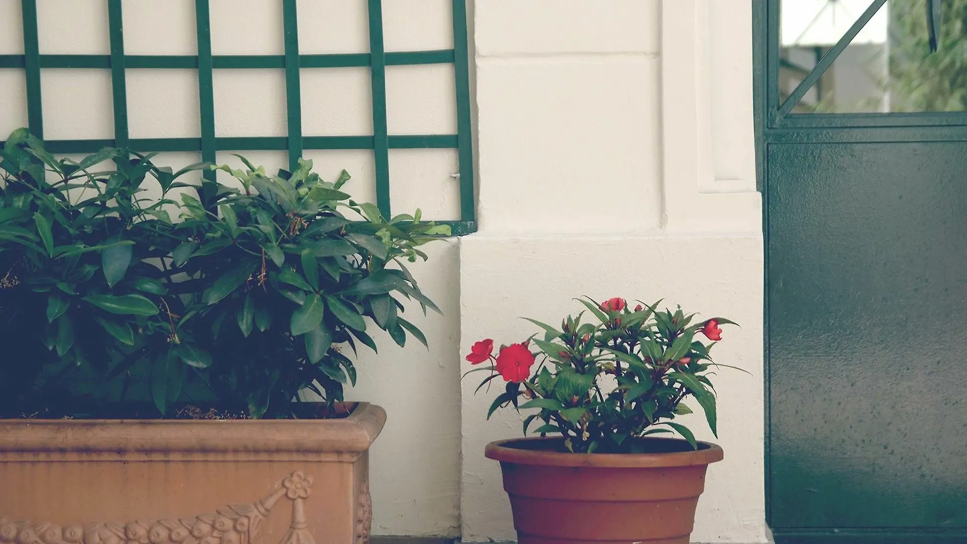 Rue De Ponthieu Furnished